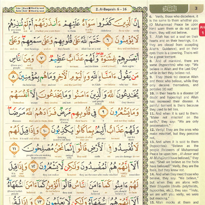 Word-to-Word English Colour-Coded Quran PDF | Instant Digital Download